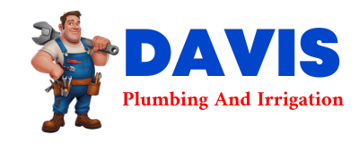 Trusted plumber in SEVIER